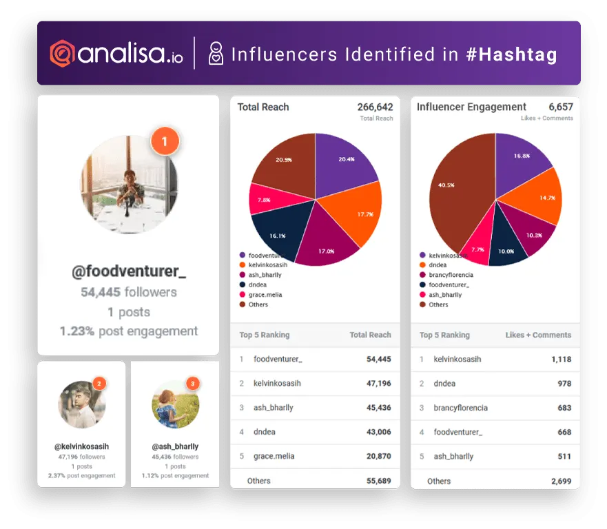 Analisa Content and Influencer Optimization