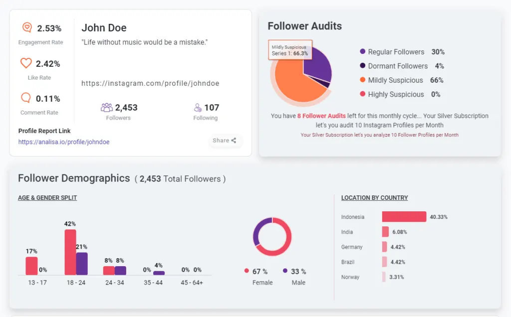 Analisa Follower Demographics and Authenticity