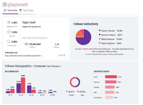 Follower Analytics tool from Analisa.io