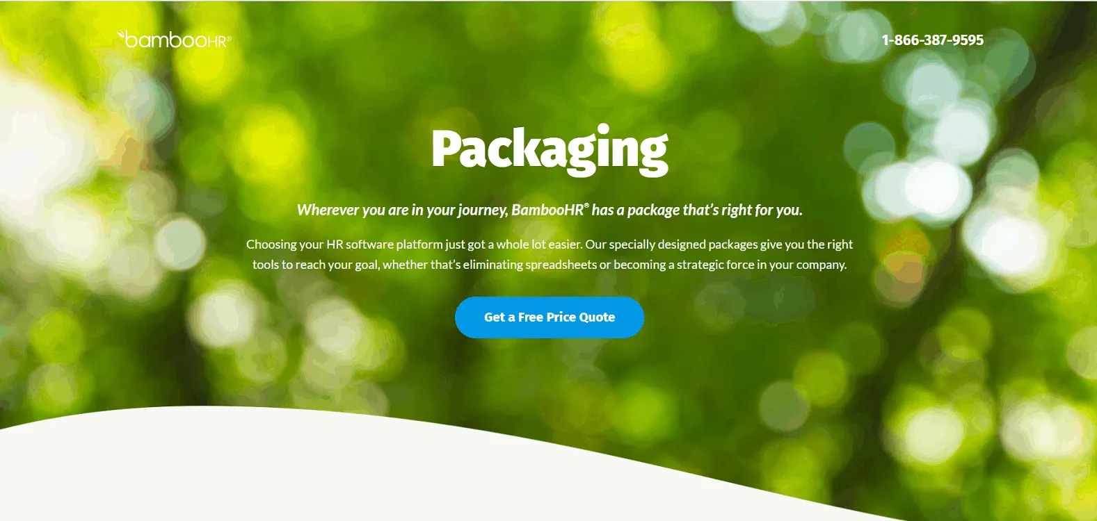 BambooHR Pricing