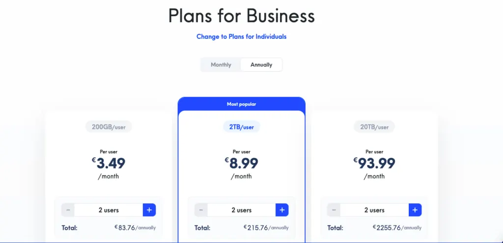 Internxt Business Pricing