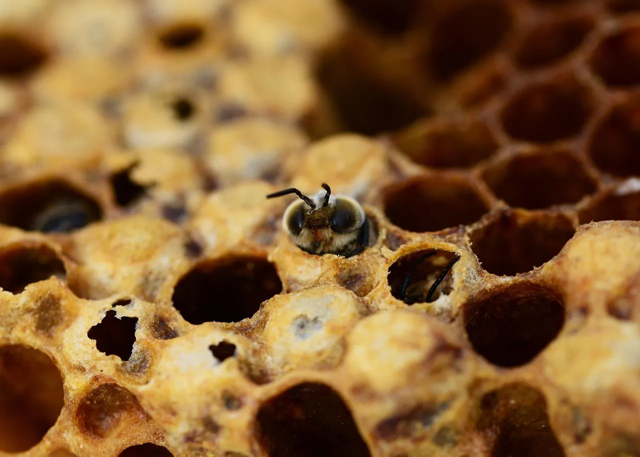 Hive integrations 1